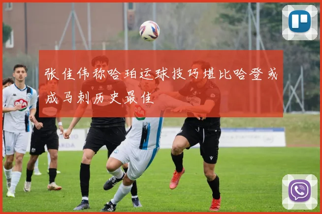 张佳伟称哈珀运球技巧堪比哈登或成马刺历史最佳